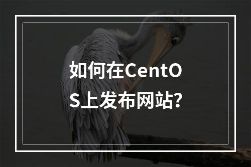 如何在CentOS上发布网站?
