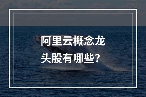 阿里云概念龙头股有哪些？