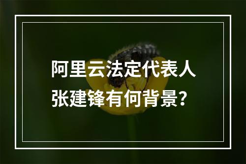 阿里云法定代表人张建锋有何背景？