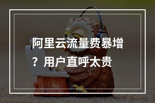 阿里云流量费暴增？用户直呼太贵