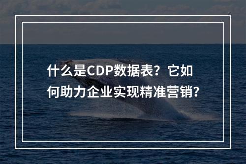 什么是CDP数据表?它如何助力企业实现精准营销?
