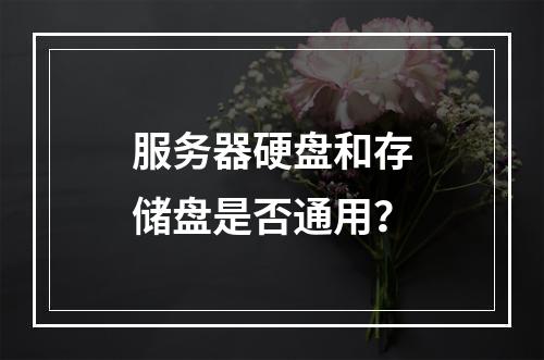 服务器硬盘和存储盘是否通用?