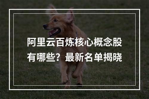 阿里云百炼核心概念股有哪些？最新名单揭晓
