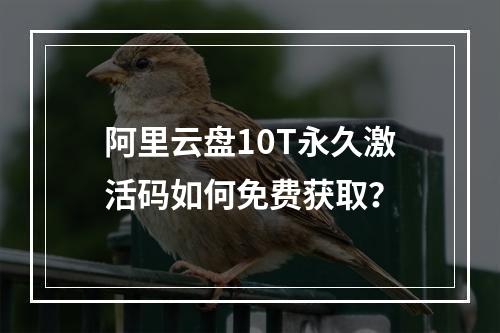 阿里云盘10T永久激活码如何免费获取？
