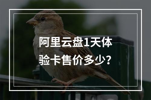 阿里云盘1天体验卡售价多少？