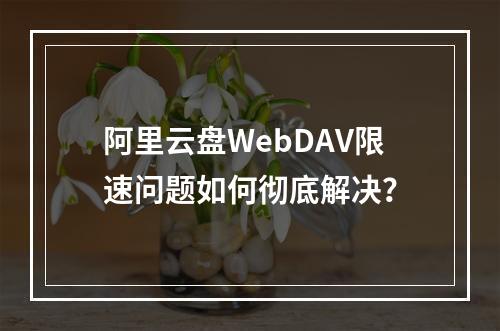 阿里云盘WebDAV限速问题如何彻底解决？