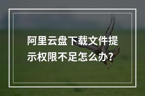 阿里云盘下载文件提示权限不足怎么办？