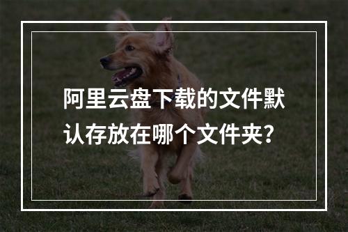 阿里云盘下载的文件默认存放在哪个文件夹？