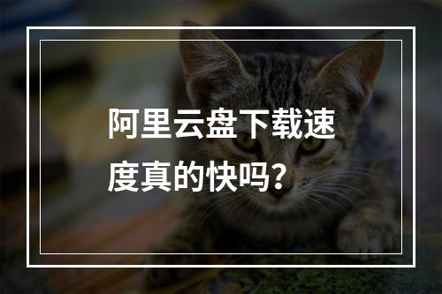 阿里云盘下载速度真的快吗？