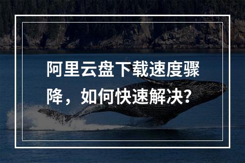 阿里云盘下载速度骤降，如何快速解决？