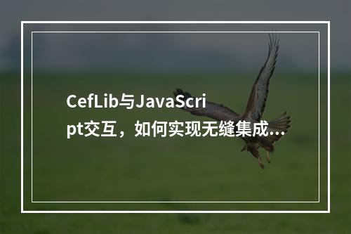 CefLib与JavaScript交互,如何实现无缝集成?