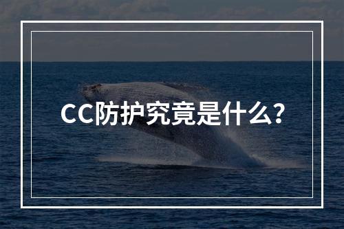 CC防护究竟是什么?