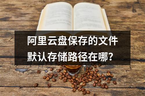 阿里云盘保存的文件默认存储路径在哪？