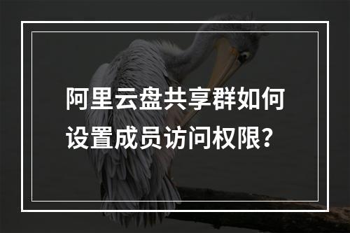 阿里云盘共享群如何设置成员访问权限？