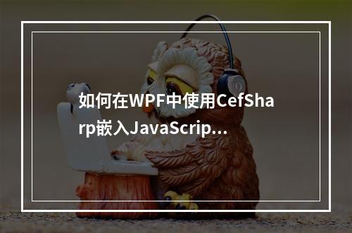 如何在WPF中使用CefSharp嵌入JavaScript功能?