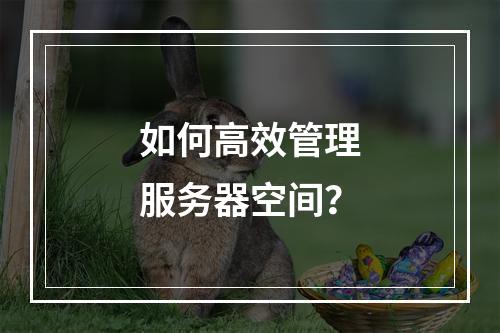 如何高效管理服务器空间?