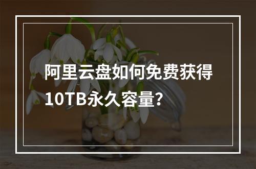 阿里云盘如何免费获得10TB永久容量？