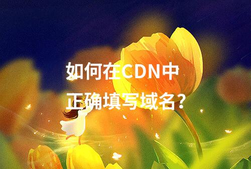 如何在CDN中正确填写域名?