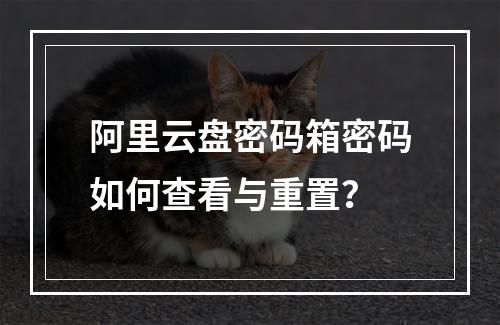 阿里云盘密码箱密码如何查看与重置？
