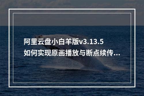 阿里云盘小白羊版v3.13.5如何实现原画播放与断点续传？
