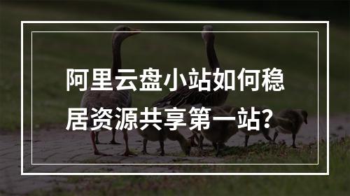 阿里云盘小站如何稳居资源共享第一站？