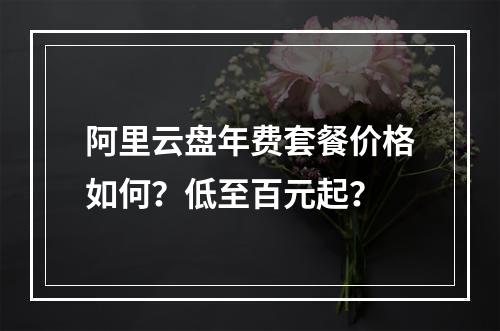 阿里云盘年费套餐价格如何？低至百元起？