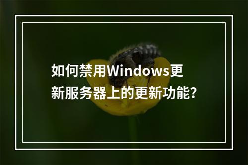 如何禁用Windows更新服务器上的更新功能?