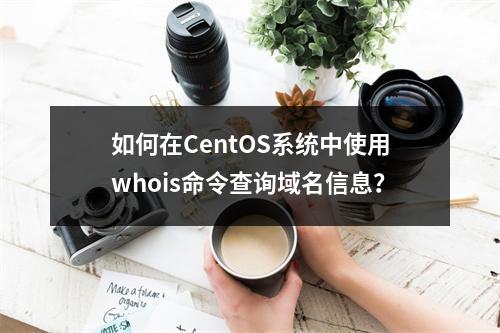 如何在CentOS系统中使用whois命令查询域名信息?