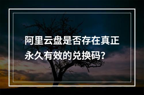 阿里云盘是否存在真正永久有效的兑换码？