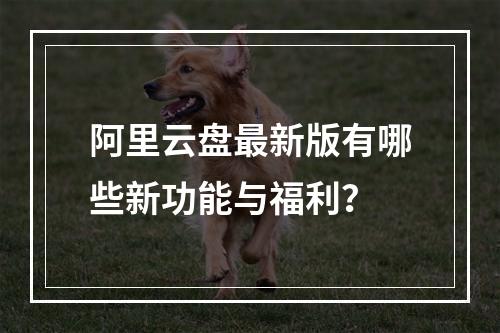 阿里云盘最新版有哪些新功能与福利？