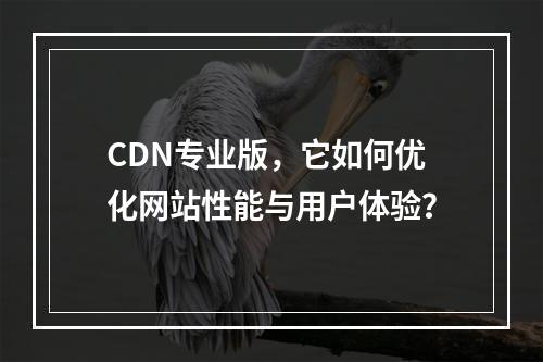 CDN专业版,它如何优化网站性能与用户体验?