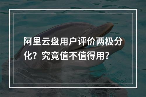 阿里云盘用户评价两极分化？究竟值不值得用？