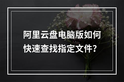 阿里云盘电脑版如何快速查找指定文件？
