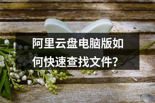 阿里云盘电脑版如何快速查找文件？