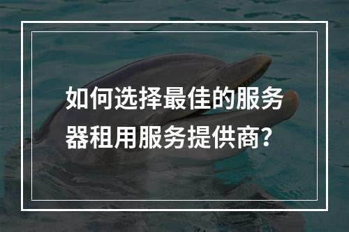 如何选择最佳的服务器租用服务提供商?