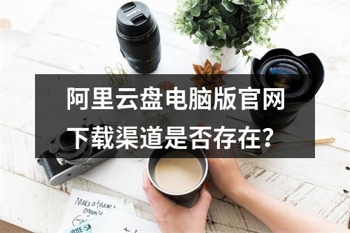 阿里云盘电脑版官网下载渠道是否存在？