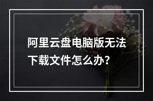 阿里云盘电脑版无法下载文件怎么办？