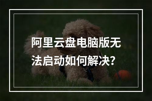 阿里云盘电脑版无法启动如何解决？