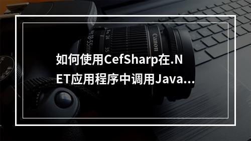 如何使用CefSharp在.NET应用程序中调用JavaScript?
