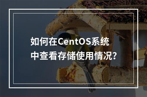如何在CentOS系统中查看存储使用情况?