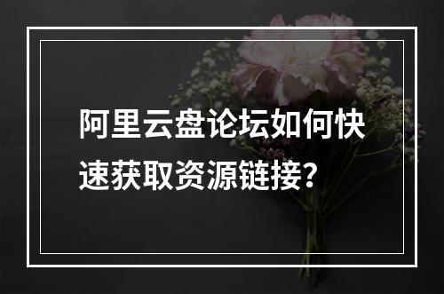 阿里云盘论坛如何快速获取资源链接？