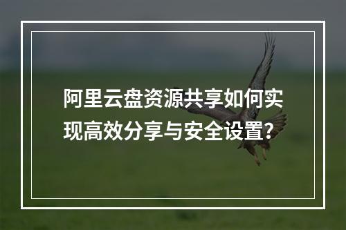 阿里云盘资源共享如何实现高效分享与安全设置？