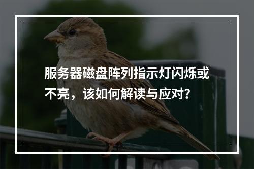 服务器磁盘阵列指示灯闪烁或不亮,该如何解读与应对?