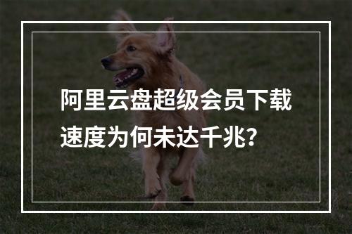 阿里云盘超级会员下载速度为何未达千兆？