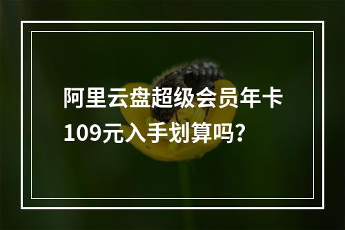 阿里云盘超级会员年卡109元入手划算吗？