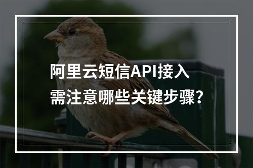 阿里云短信API接入需注意哪些关键步骤？
