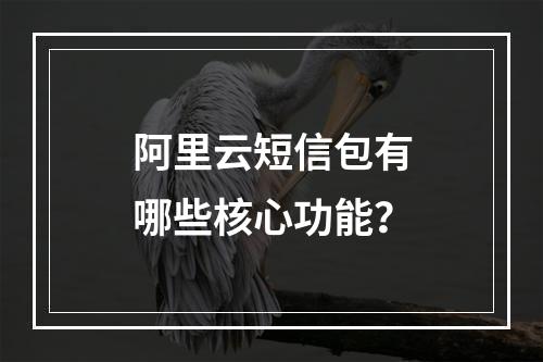 阿里云短信包有哪些核心功能？