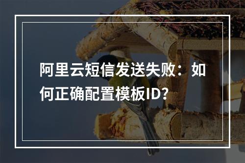 阿里云短信发送失败：如何正确配置模板ID？