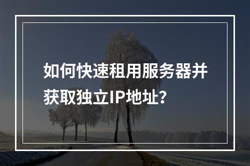 如何快速租用服务器并获取独立IP地址?