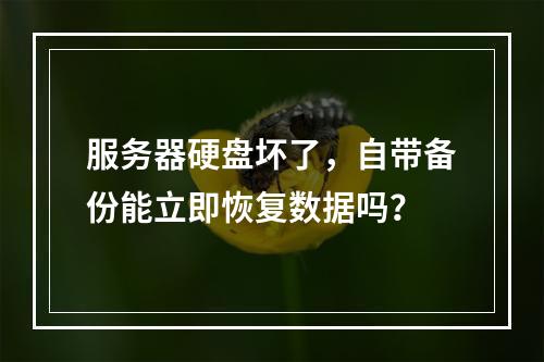 服务器硬盘坏了,自带备份能立即恢复数据吗?